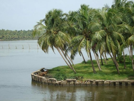 Chettuva Backwaters near Guruvayur